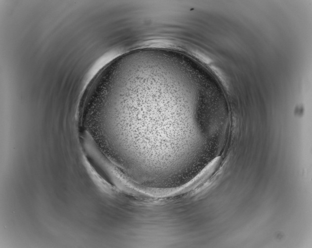 X0000090701426200708101432