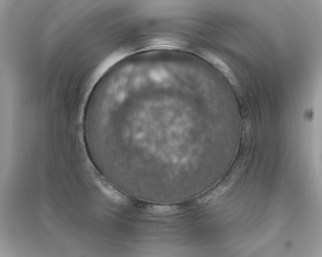 X0000090701427200708101432