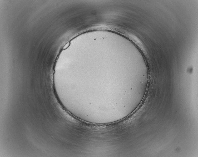 X0000090701428200708101432