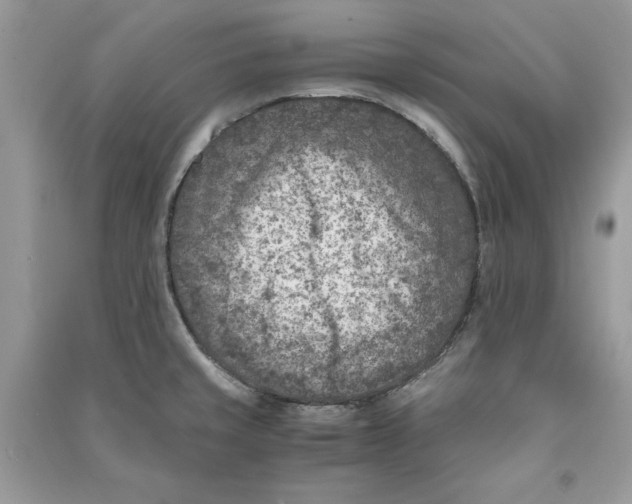 X0000090701429200708101432