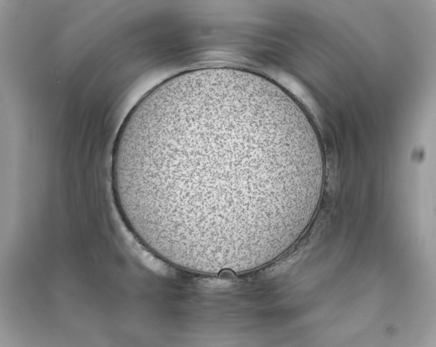 X0000090701431200708101432