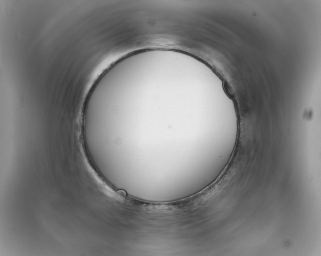 X0000090701432200708101432