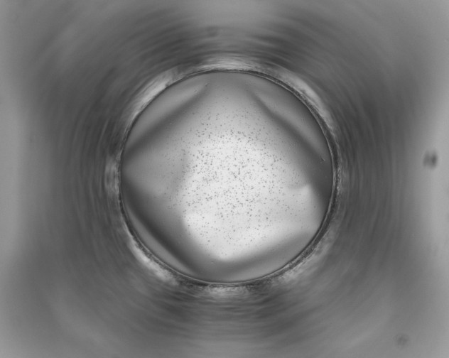 X0000090701433200708101432