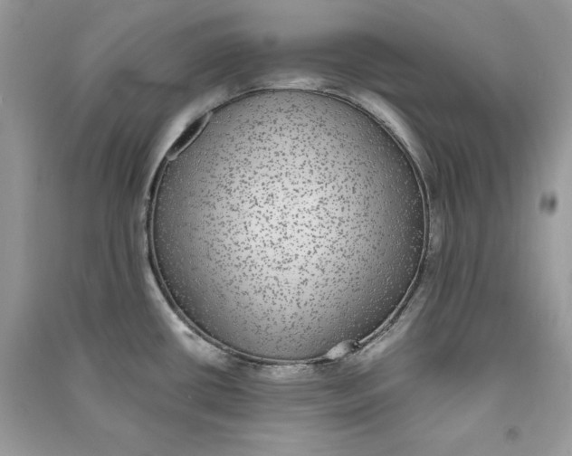 X0000090701434200708101432