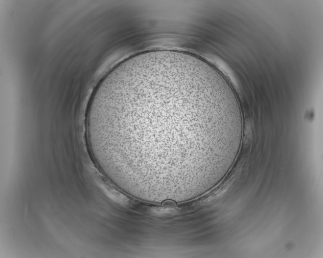 X0000090701435200708101432