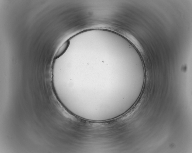 X0000090701436200708101432
