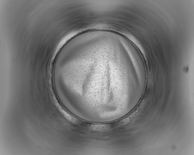 X0000090701437200708101432