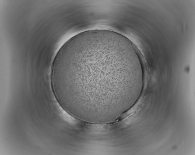 X0000090701438200708101432