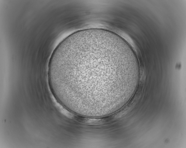X0000090701439200708101432