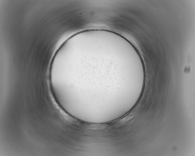 X0000090701440200708101432
