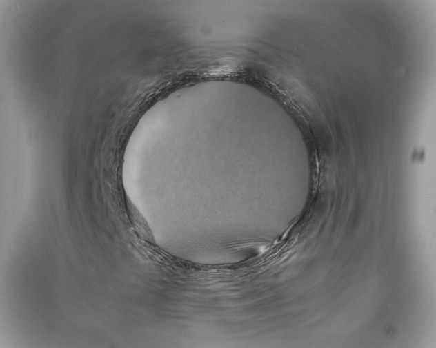 X0000090701441200708101432