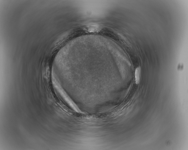 X0000090701443200708101432