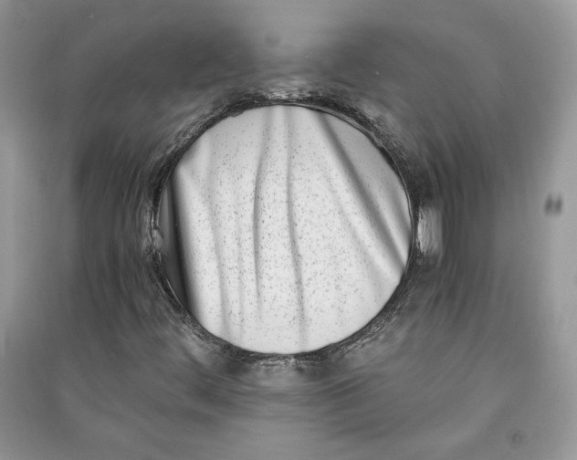 X0000090701444200708101432