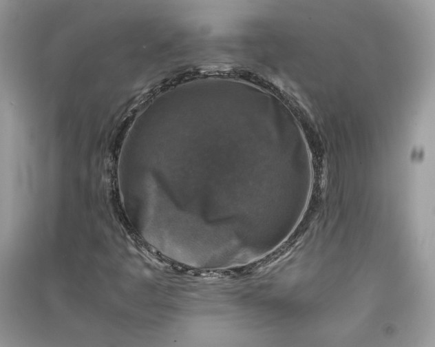 X0000090701445200708101432