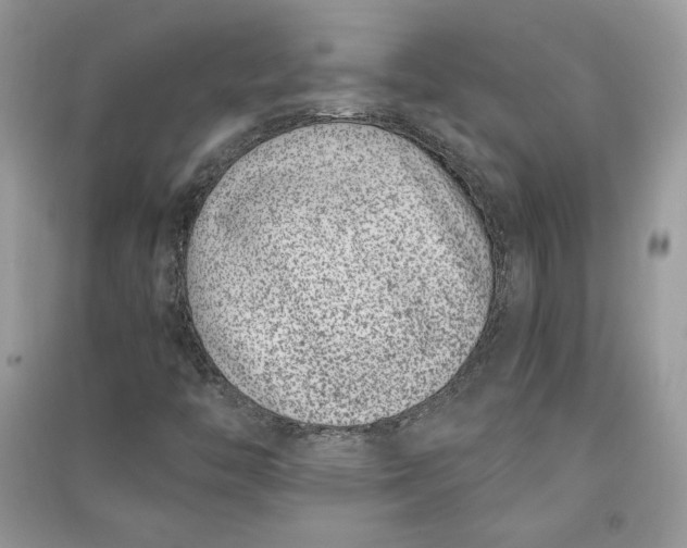 X0000090701446200708101432