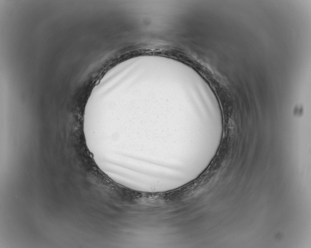 X0000090701447200708101432