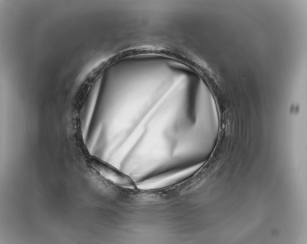 X0000090701448200708101432