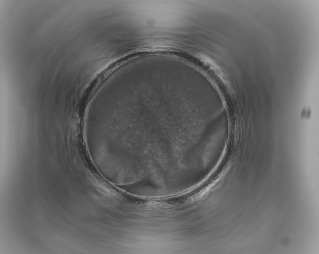 X0000090701449200708101432
