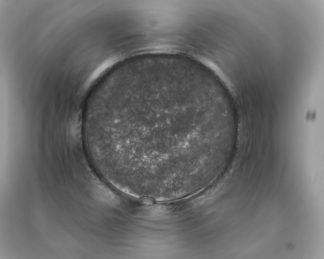 X0000090701450200708101432