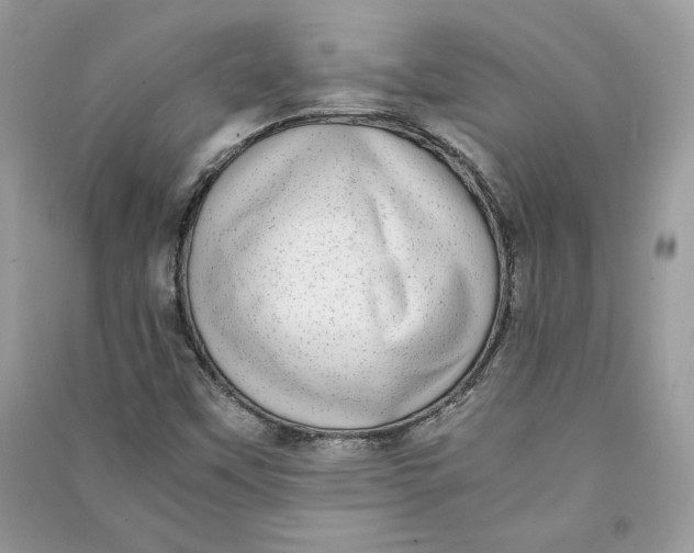 X0000090701451200708101431