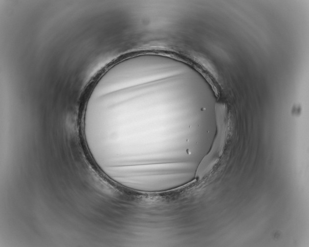 X0000090701452200708101431