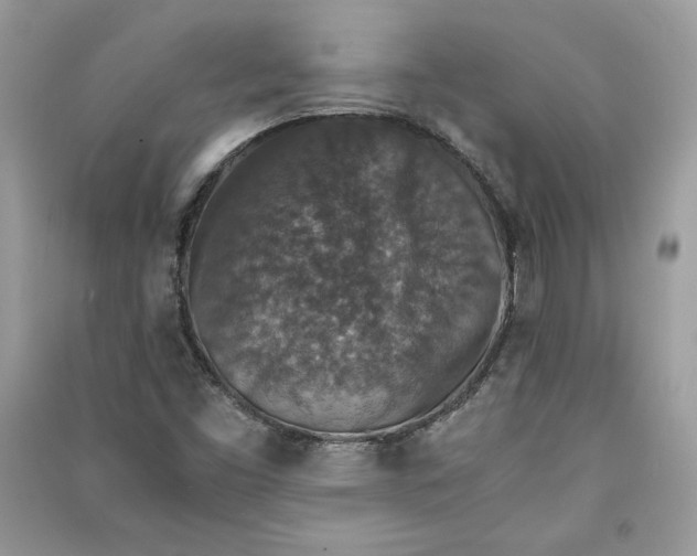 X0000090701453200708101431