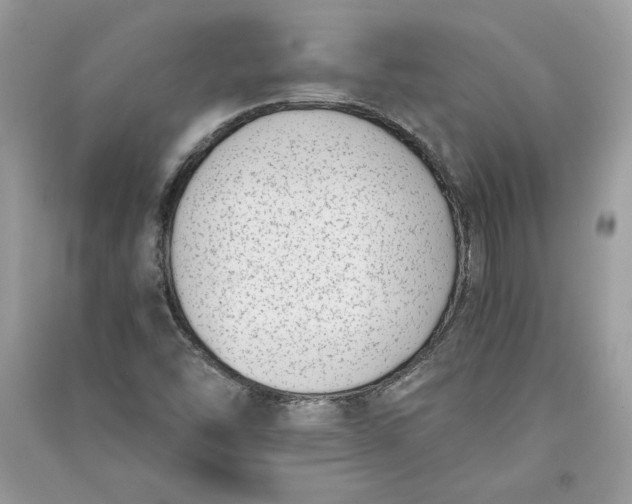 X0000090701454200708101431