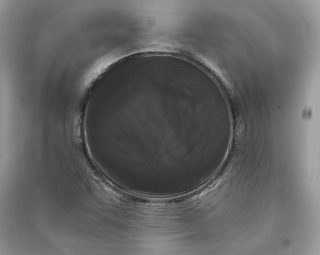X0000090701455200708101431