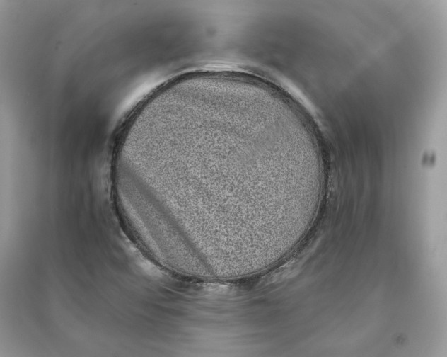 X0000090701456200708101431