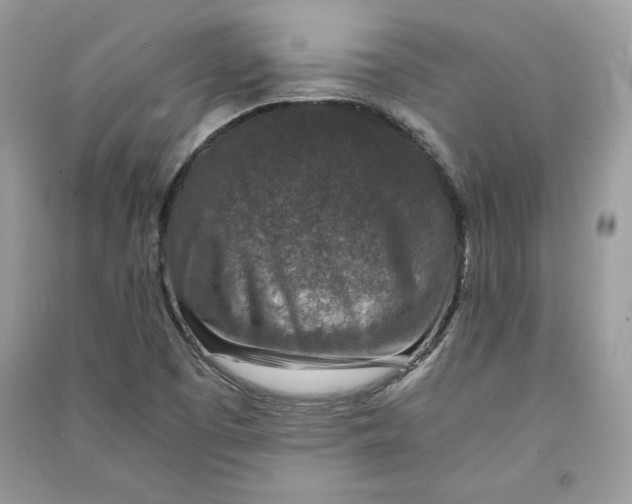 X0000090701457200708101431