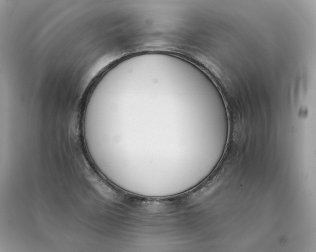 X0000090701458200708101431
