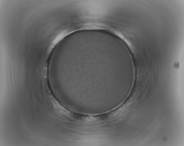 X0000090701459200708101431