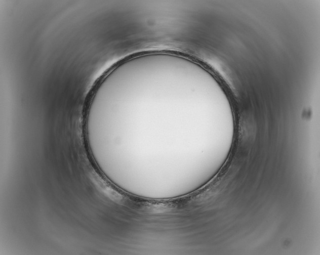 X0000090701460200708101431