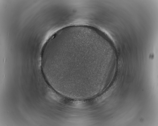 X0000090701461200708101431