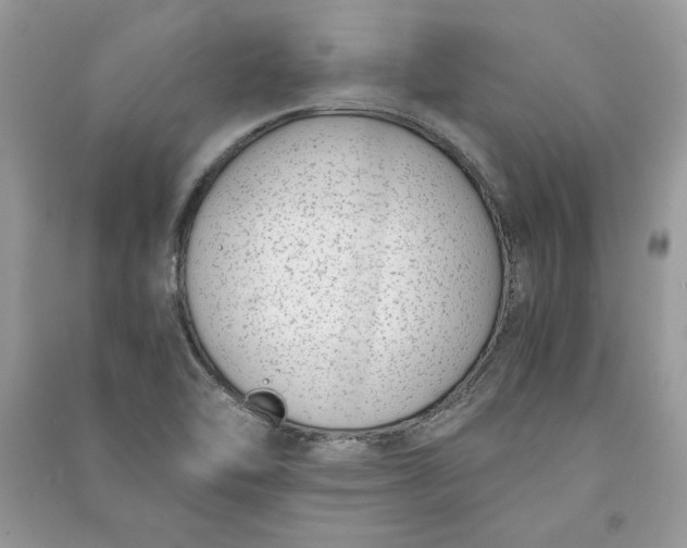 X0000090701462200708101431