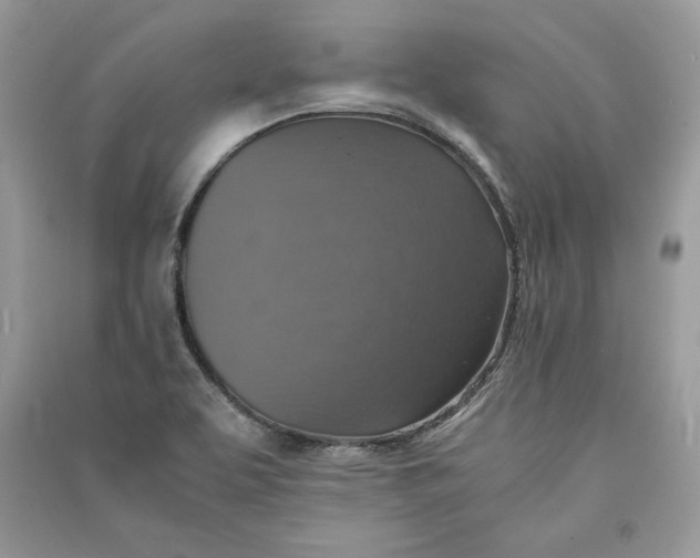 X0000090701463200708101431
