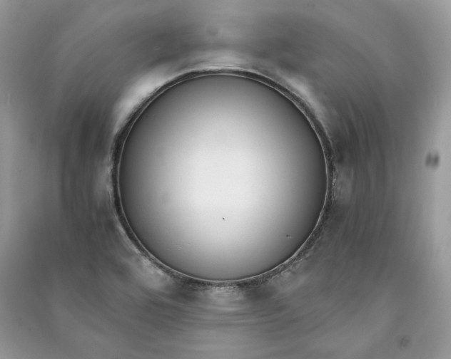 X0000090701464200708101431