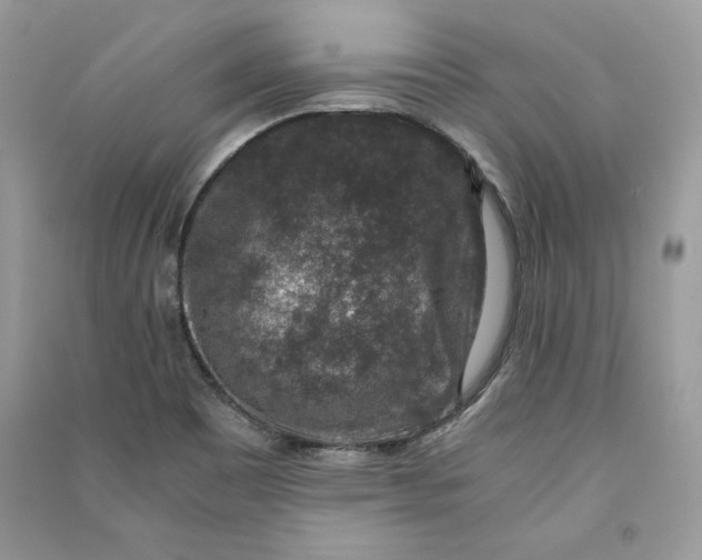 X0000090701465200708101431