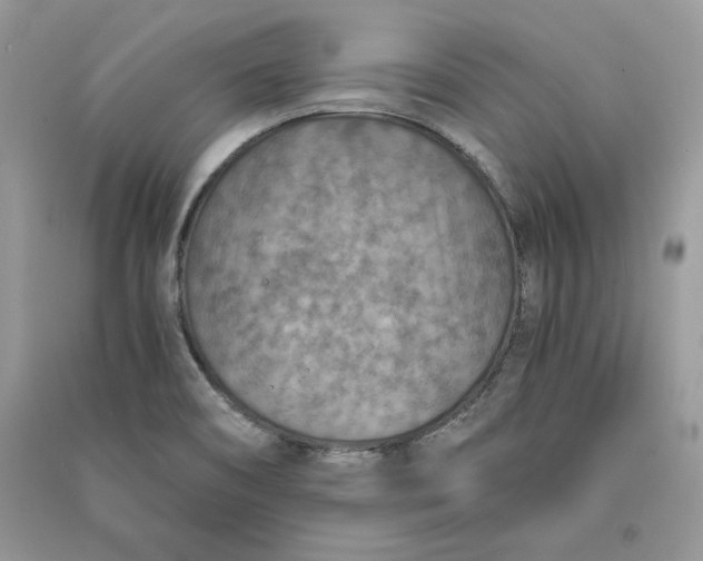 X0000090701466200708101431