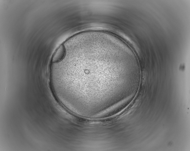X0000090701467200708101431