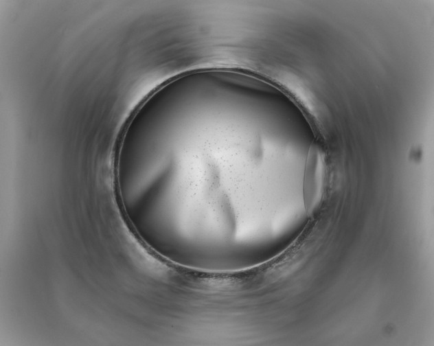 X0000090701468200708101431