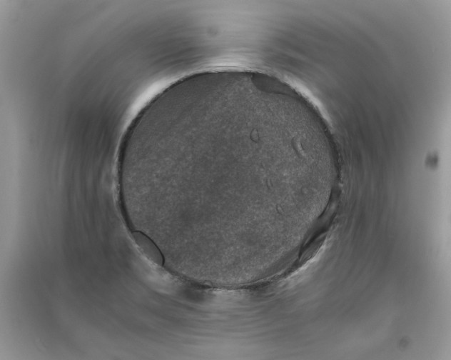 X0000090701469200708101431