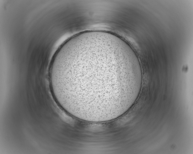 X0000090701470200708101431