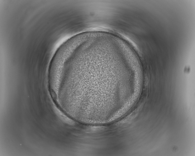 X0000090701471200708101431