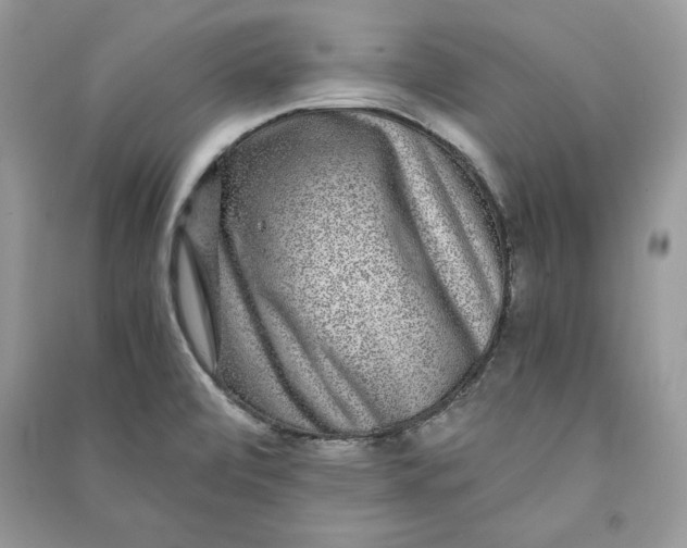 X0000090701472200708101431