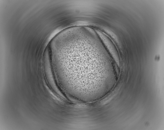 X0000090701473200708101431