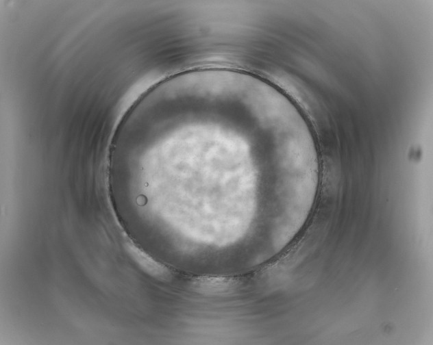X0000090701474200708101431