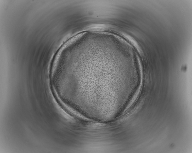 X0000090701475200708101431