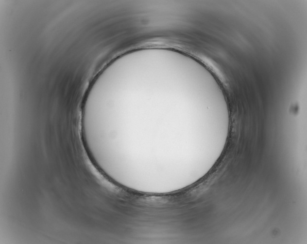 X0000090701476200708101431