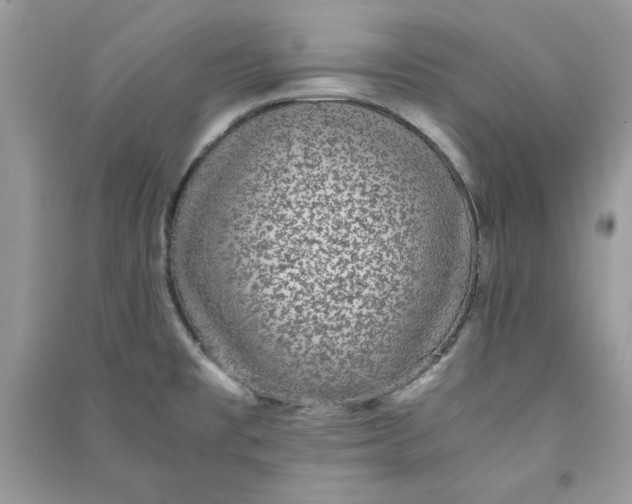X0000090701477200708101431